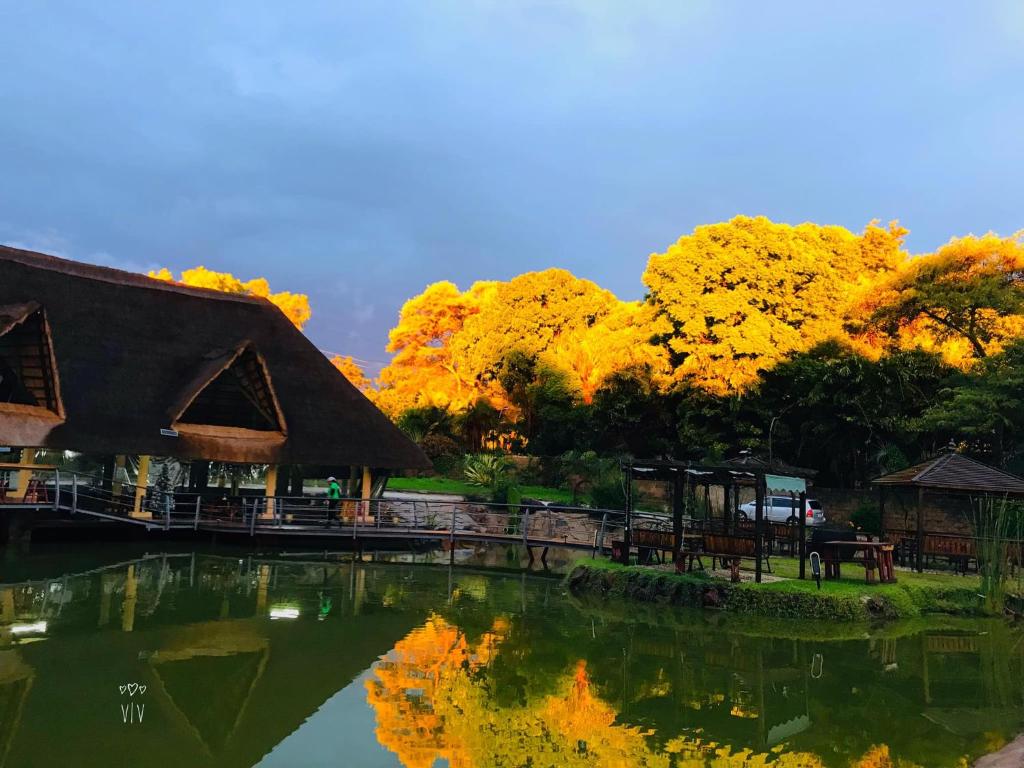 un estanque en un parque con árboles con hojas amarillas en T3c Gardens, en Lusaka