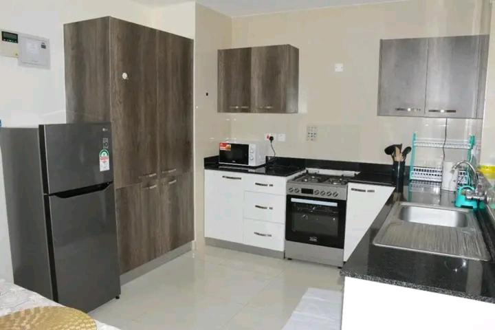Amalia apartments syokimau near JKIA في نيروبي: مطبخ مع موقد وثلاجة