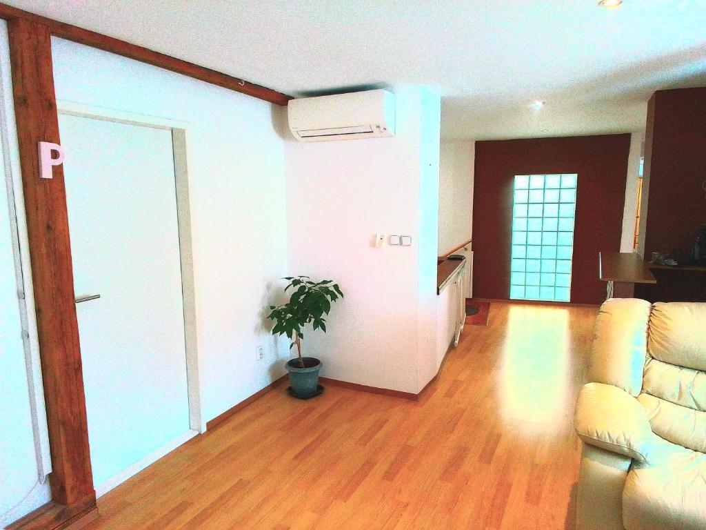 ein Wohnzimmer mit einem Sofa und einer Topfpflanze in der Unterkunft Apartmán Penelope in Žatec