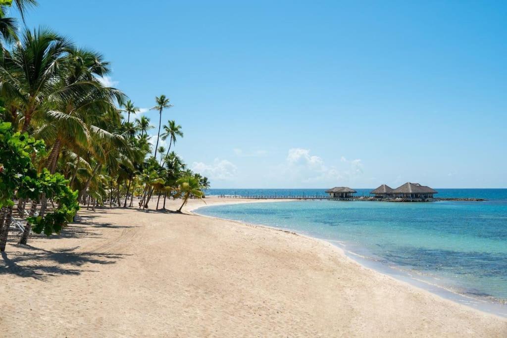 uma praia com palmeiras e o oceano em Appartamento Martinic Juan Dolio fronte mare em Juan Dolio