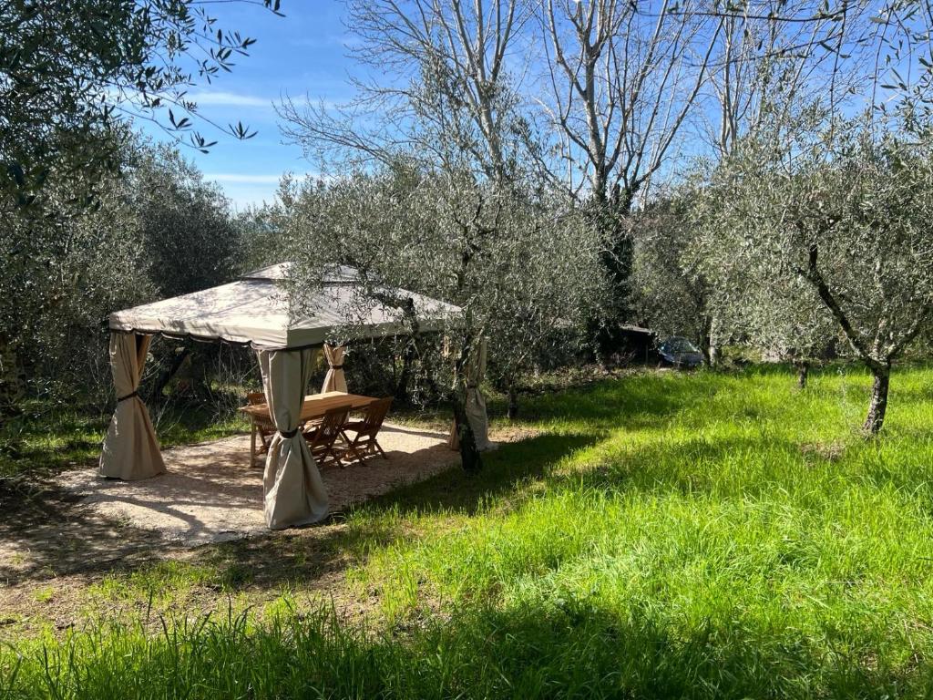 a picnic table under a gazebo in a field at Olive Garden Loft - Settignano in Settignano