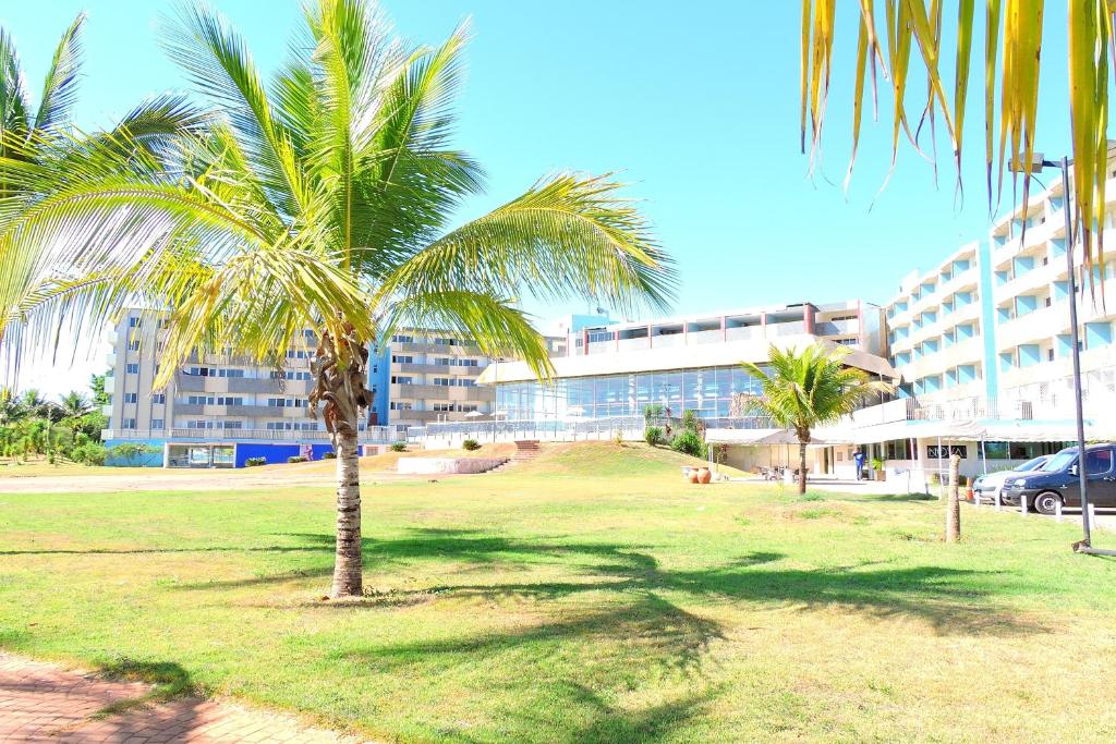 a palm tree in a park in front of a building at Bay Park Hotel Resort in Brasília