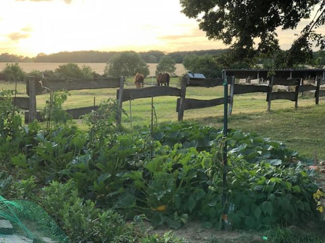 Zahrada ubytování Le Spa est dans le Pré