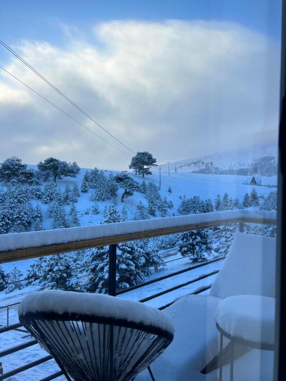 Zlatibor Wild v zimě