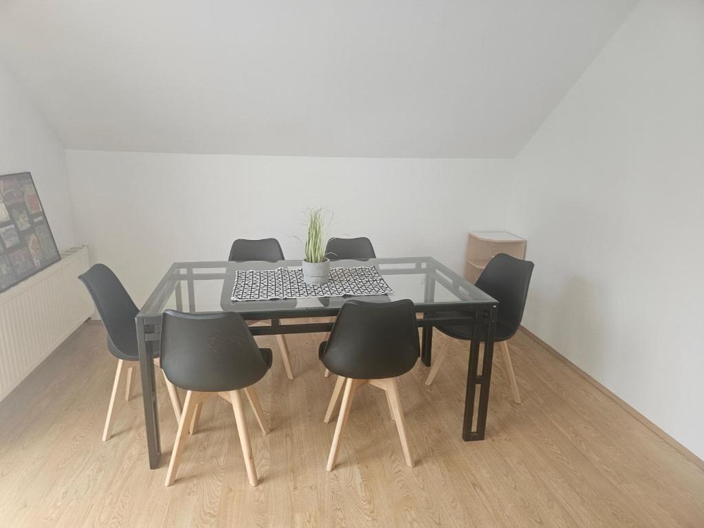 d'une table à manger avec des chaises et une plante. dans l'établissement Work and Stay 01 Stolberg Neu Modernisiert, à Stolberg