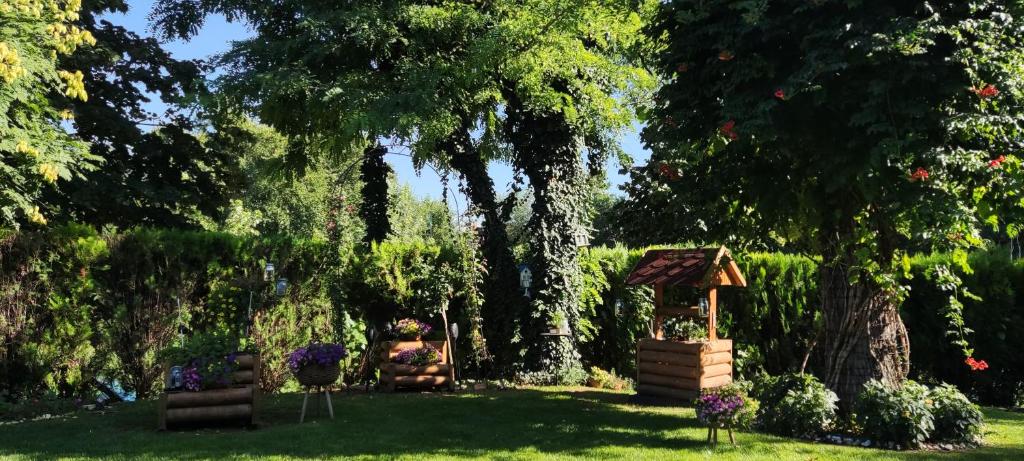Zahrada ubytování Apartman Fiora