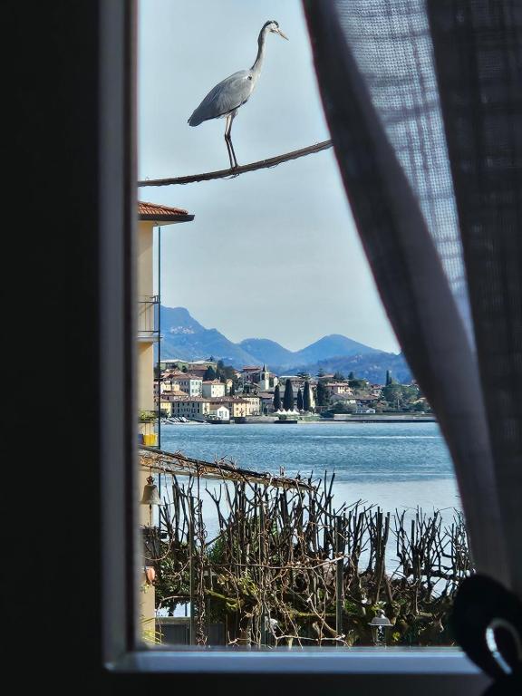 un uccello seduto su un filo vicino all'acqua di L'AIRONE - casa vacanza a Mandello del Lario