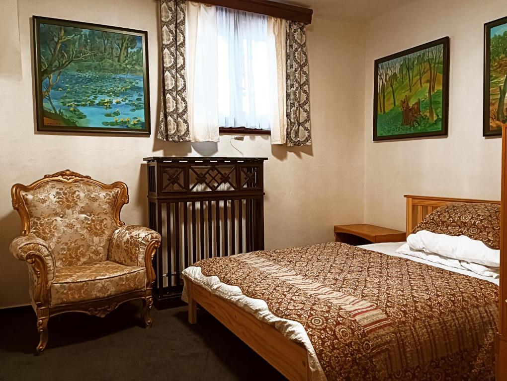 ein Schlafzimmer mit einem Bett, einem Stuhl und einem Fenster in der Unterkunft Boutique hotel & Wellness Spitzerova vila Eliška in Janovice
