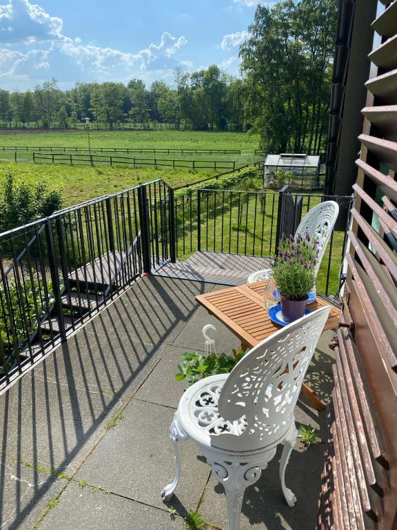 a patio with two chairs and a table and a fence at Ferienwohnung Hohenheide in Warendorf