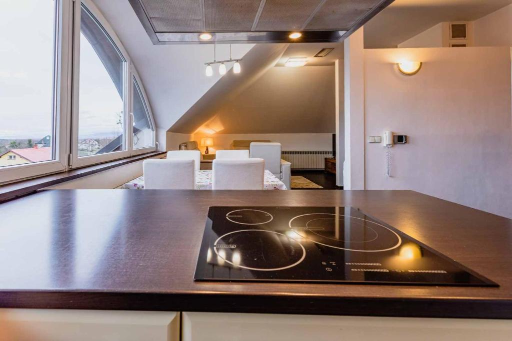 Köök või kööginurk majutusasutuses Apartmány Celnice