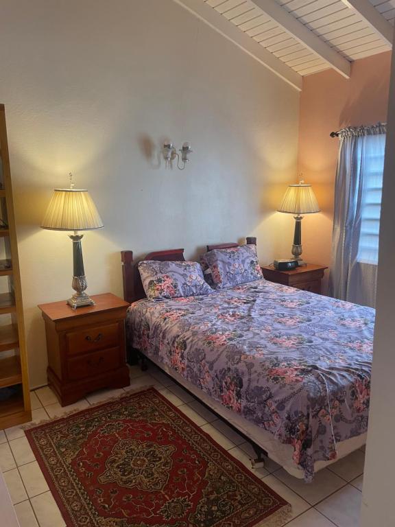 a bedroom with a bed with two lamps and a rug at Mountain view Apartment in Basse Terre Town