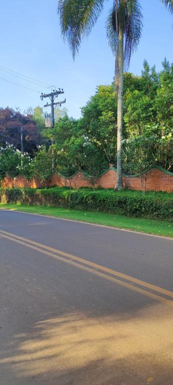 a street with a palm tree on the side of the road at Sítio charmoso in Jarinu