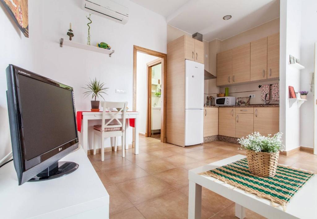 cocina y sala de estar con TV sobre una mesa en San Juan Apartamento, en Jerez de la Frontera