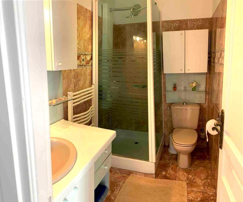 uma casa de banho com um chuveiro, um WC e um lavatório. em Maison d'une chambre avec wifi a Vigneux sur Seine em Vigneux-sur-Seine