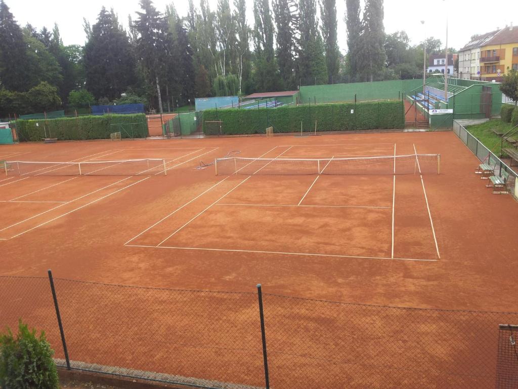 Tenis a/nebo squash v ubytování Penzion Tenis nebo okolí
