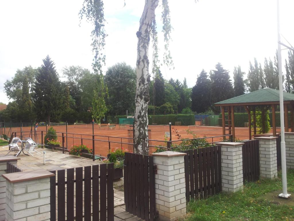 Tenis a/nebo squash v ubytování Penzion Tenis nebo okolí