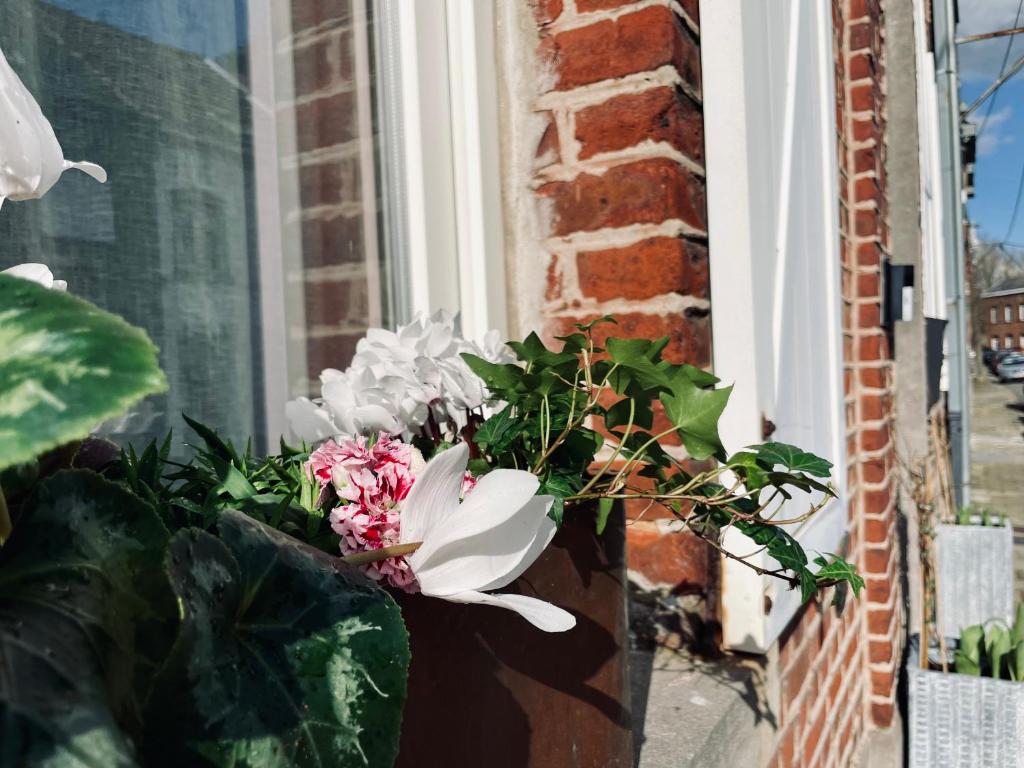 una caja de la ventana con flores en el alféizar de la ventana en Les Volets Blancs en 's-Gravenbrakel