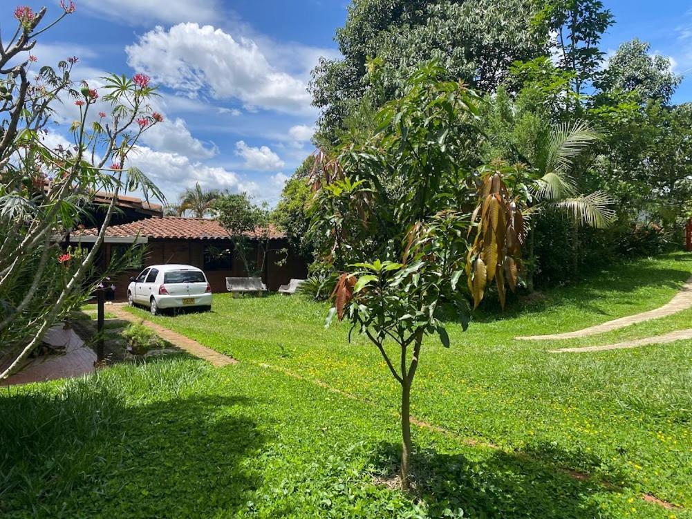 un pequeño árbol en el patio de una casa en FINCA VERDI, en Girardota