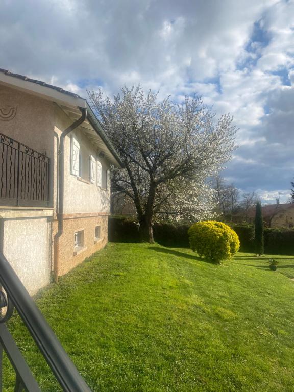Zahrada ubytování Gîte des Chabaudières