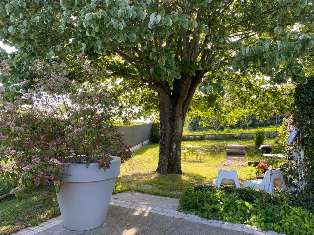 un grand pot blanc installé dans un jardin avec un arbre dans l'établissement Le 7, à Mesland
