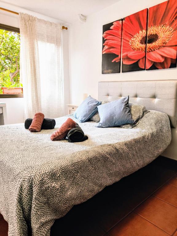 Fotografie z fotogalerie ubytování La Casa de Las Flores v destinaci Tacoronte