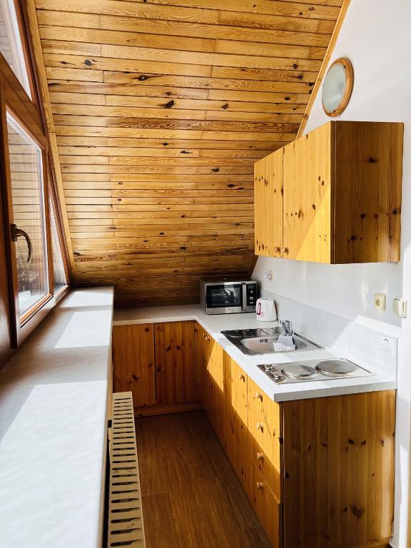 Kuchyň nebo kuchyňský kout v ubytování Apartmány u Pilota