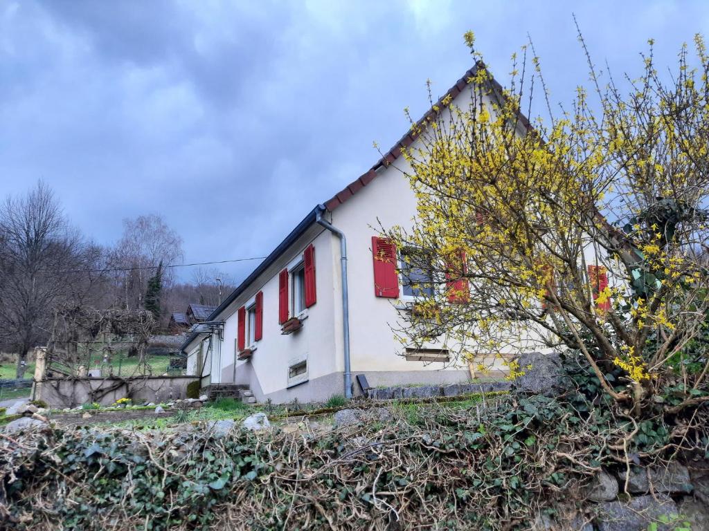 een wit huis met rode ramen en een boom bij Chez Lydie in Fellering