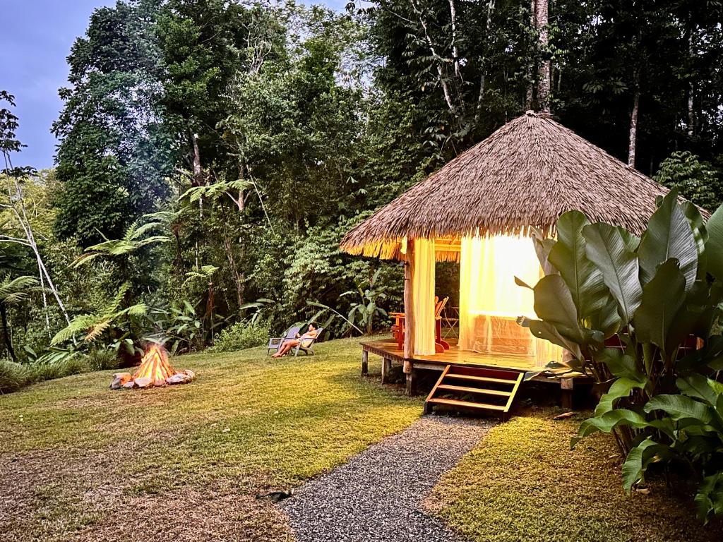 Zahrada ubytování Finca Terra Incognita - Wood cabins in the jungle