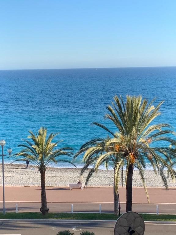 deux palmiers sur une plage près de l'océan dans l'établissement Vue mer, à Nice