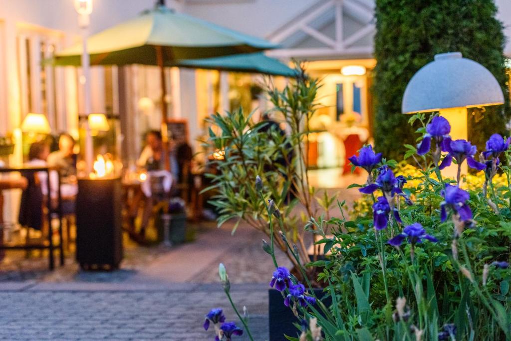 Zahrada ubytování Residenz Hotel Leipzig