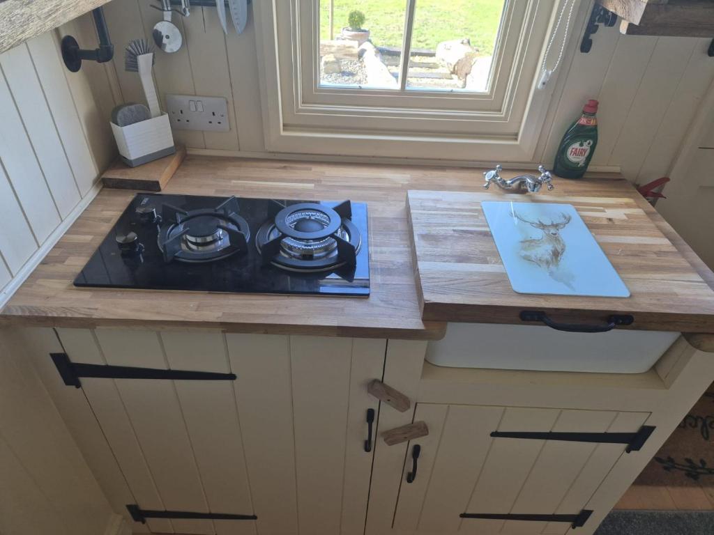 a kitchen counter with a stove and a sink at Shepherds haven hut Near Padstow in Saint Issey