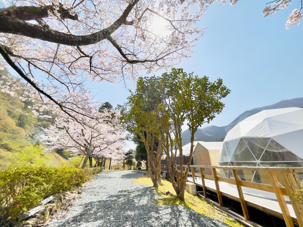 a road withakura trees in front of a building at ＳＰＲＩＮＧＳ ＶＩＬＬＡＧＥ - Vacation STAY 67339v in Oyama