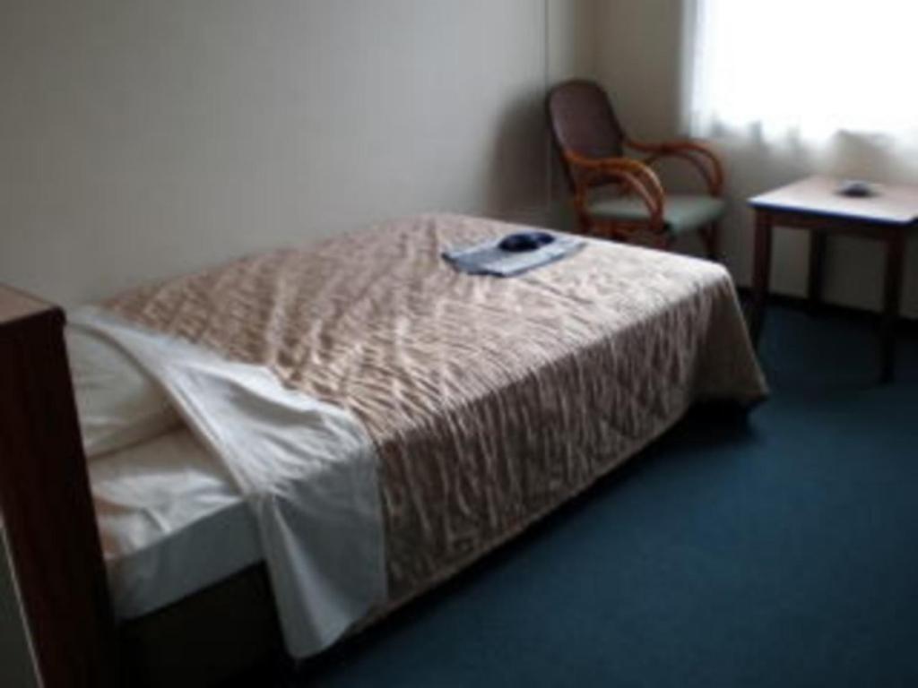 ein Schlafzimmer mit einem Bett, einem Stuhl und einem Tisch in der Unterkunft Kikai Daiichi Hotel - Vacation STAY 30408v 