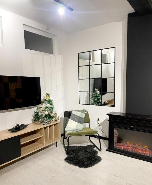 een woonkamer met een open haard en een televisie bij Apartman Ceca Pale in Pale