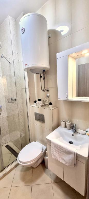 Zlatibor Hills Apartments Wellnes & Spa - Resim 38