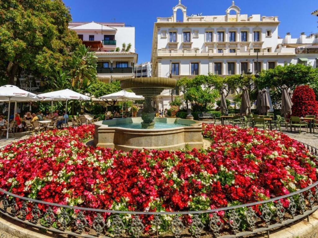 A garden outside Complejo Vallsun