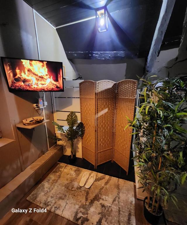 a room with a fireplace and a tv and plants at Star Wars + Jacuzzi à 10 minutes de Disneyland in Condé-Sainte-Libiaire