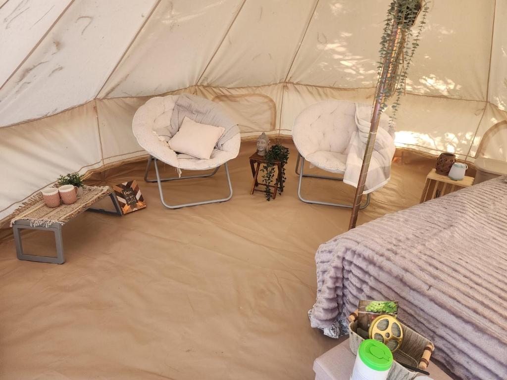 widok na namiot z 2 krzesłami i łóżkiem w obiekcie #3 Willow Tree w mieście Drumheller