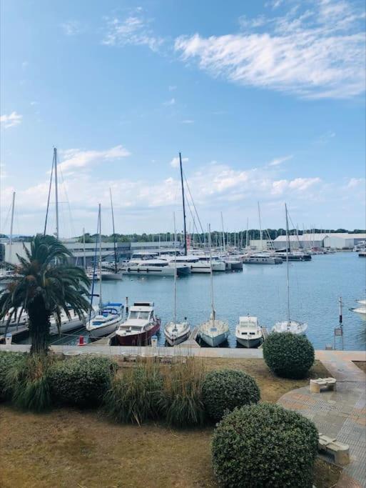 Une bande de bateaux amarrés dans un port de plaisance dans l'établissement Appartement Cosy vue sur le port, à Canet