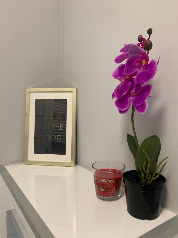 Fotografie z fotogalerie ubytování Apartment Kilińskiego street v Lodži