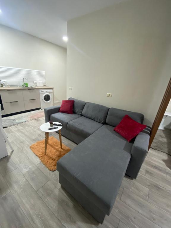 - un salon avec un canapé gris et des oreillers rouges dans l'établissement Chlo apartment 5 Tirane, à Tirana