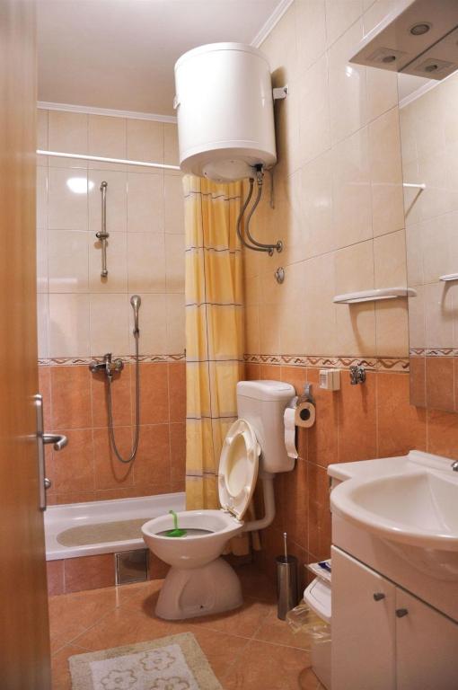 Koupelna v ubytování Apartments Seka
