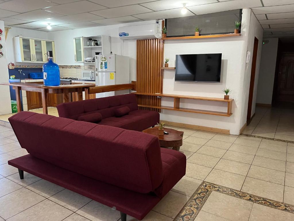 Maytenus Galapagos - Standard Apartment