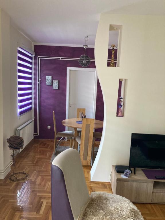 TV a/nebo společenská místnost v ubytování Apartman Aleksandar