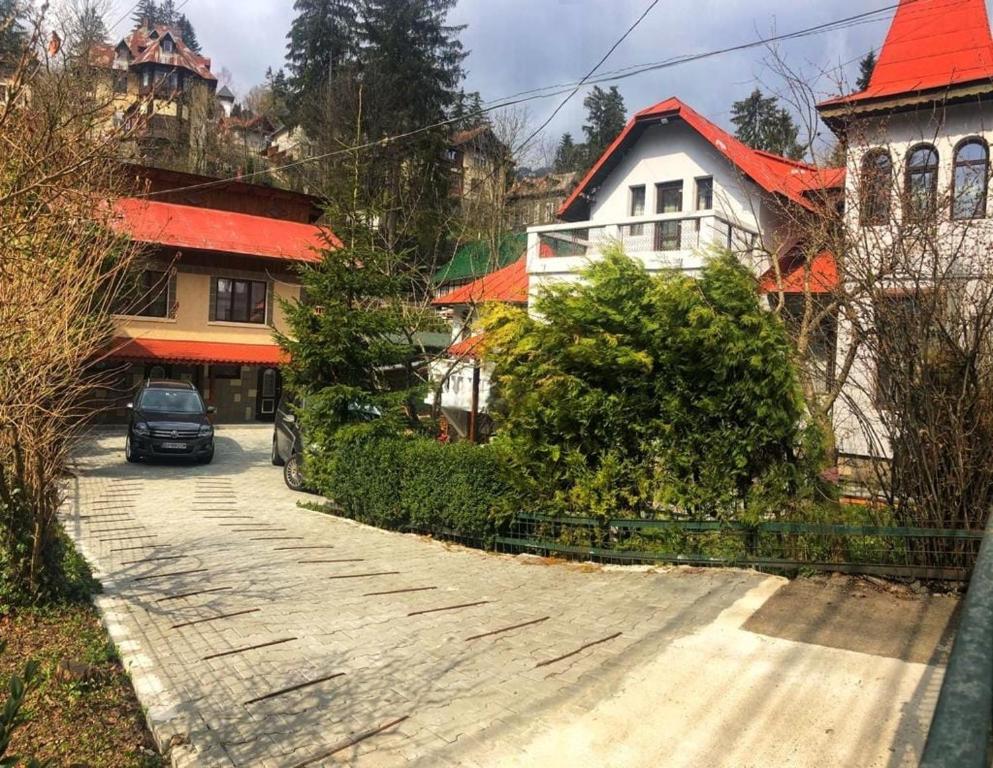 un'auto parcheggiata su una strada di fronte a una casa di Vila Agata a Sinaia