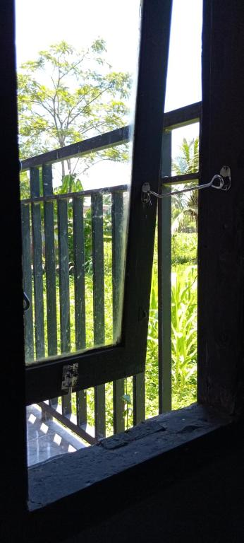 an open door to a balcony with a view of a tree at La Belle Vie Homestay in Banyuwangi