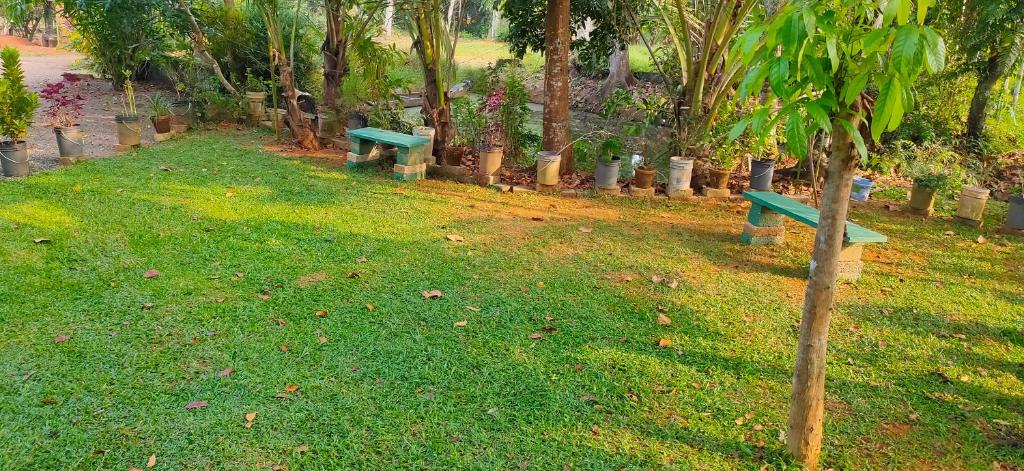 two green benches sitting in the grass in a park at Kuttickattil Pool Home Stay Kumarakom in Kumarakom