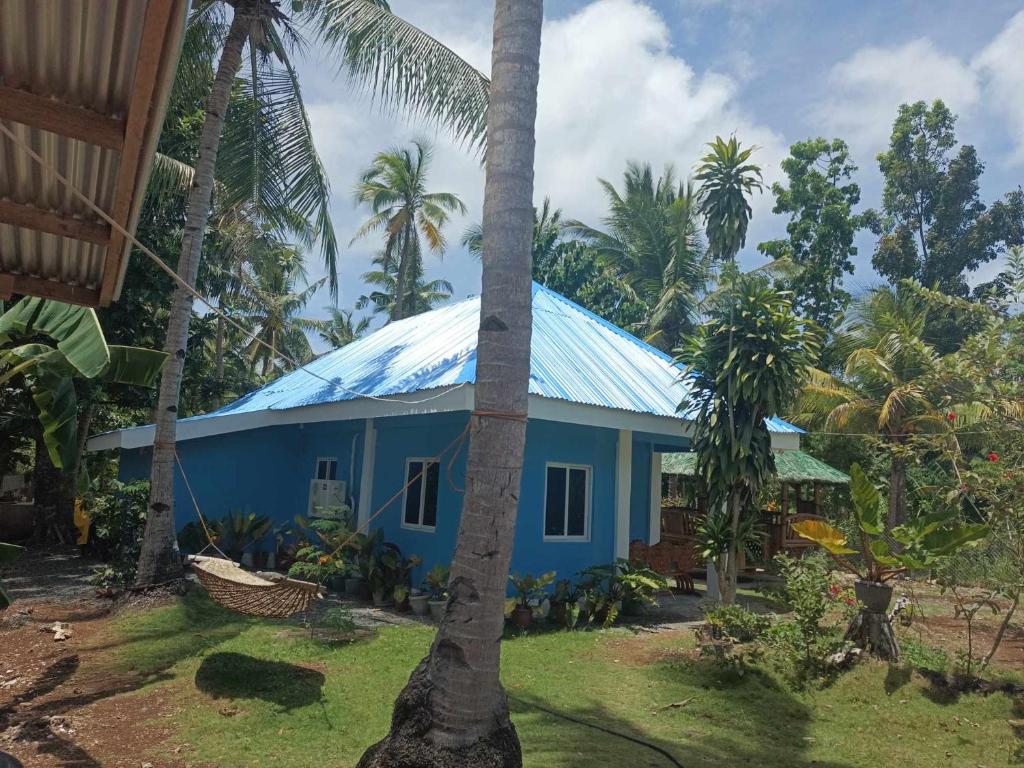 a blue house with a blue roof and palm trees at Anda Home at Cabagnow Cave Pool in Anda