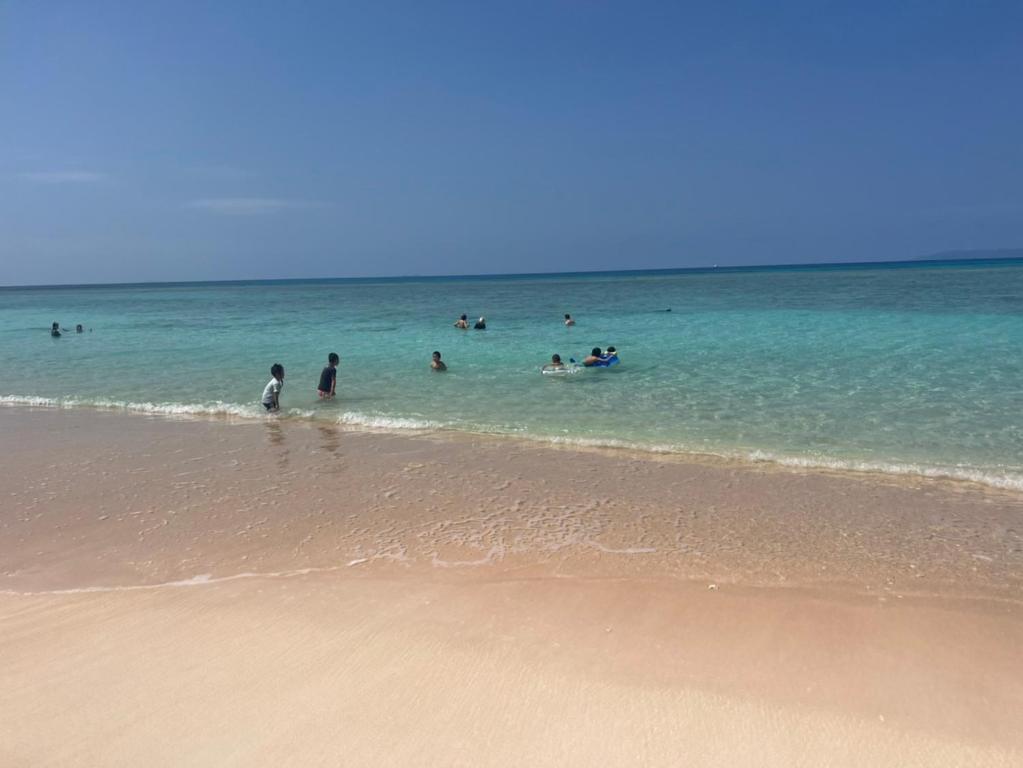 a group of people in the water at the beach at やどバンブー in Hateruma