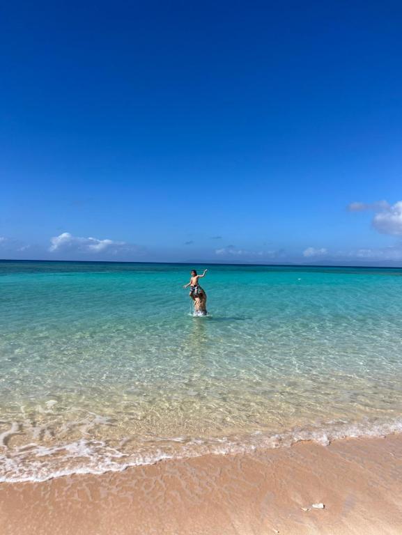 a person riding a horse in the water on a beach at やどバンブー in Hateruma